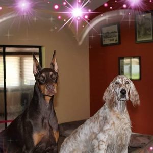 Meet your Posher, Daniela